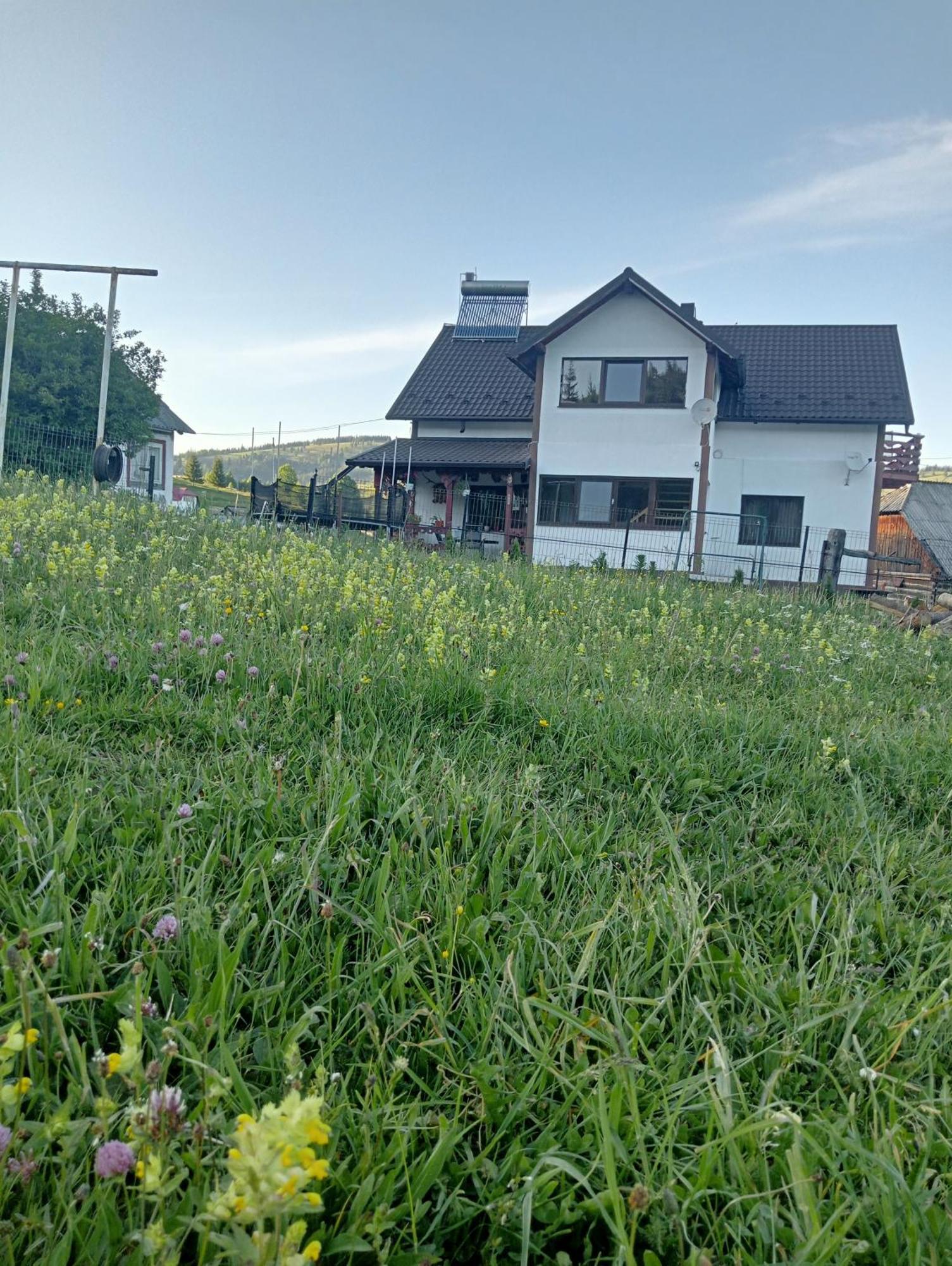 바틀돌니 Casa Vasy 게스트하우스 외부 사진